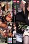 330-cover